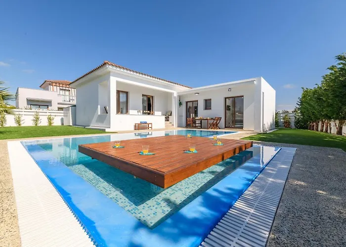 Napa Sunlight #1 * アヤナパ